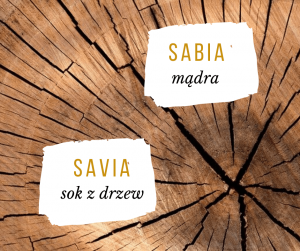 słowa sprawiające trudność w języku hiszpańskim savia sabia